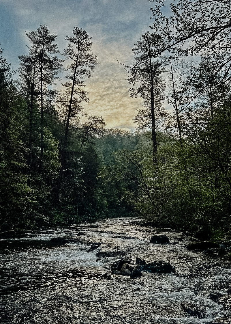 Fishing the Streams of Appalachia