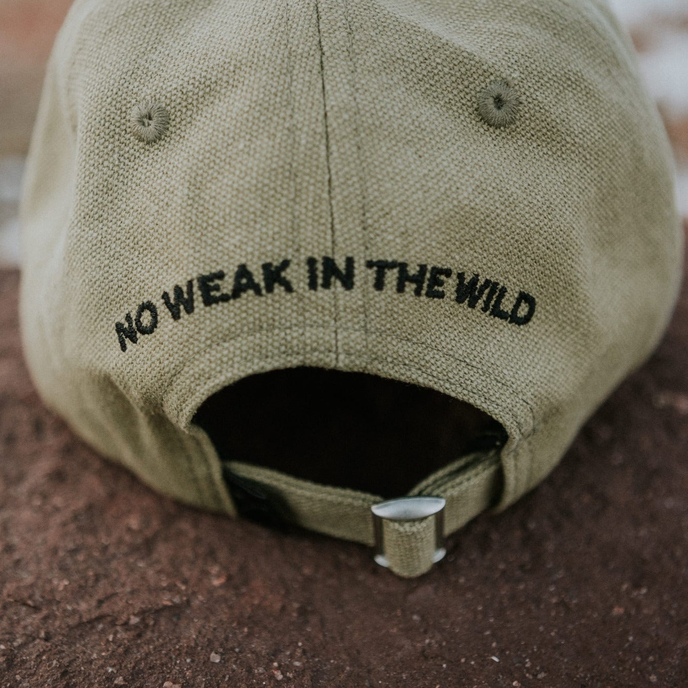 HLE- Dad Hat