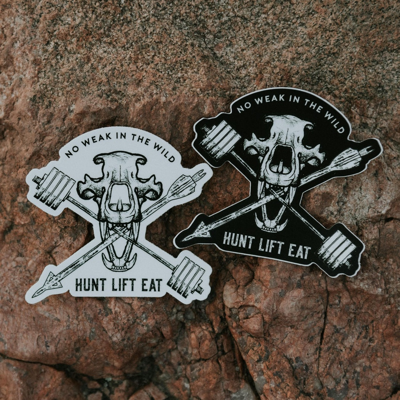 Bear Skull- Sticker