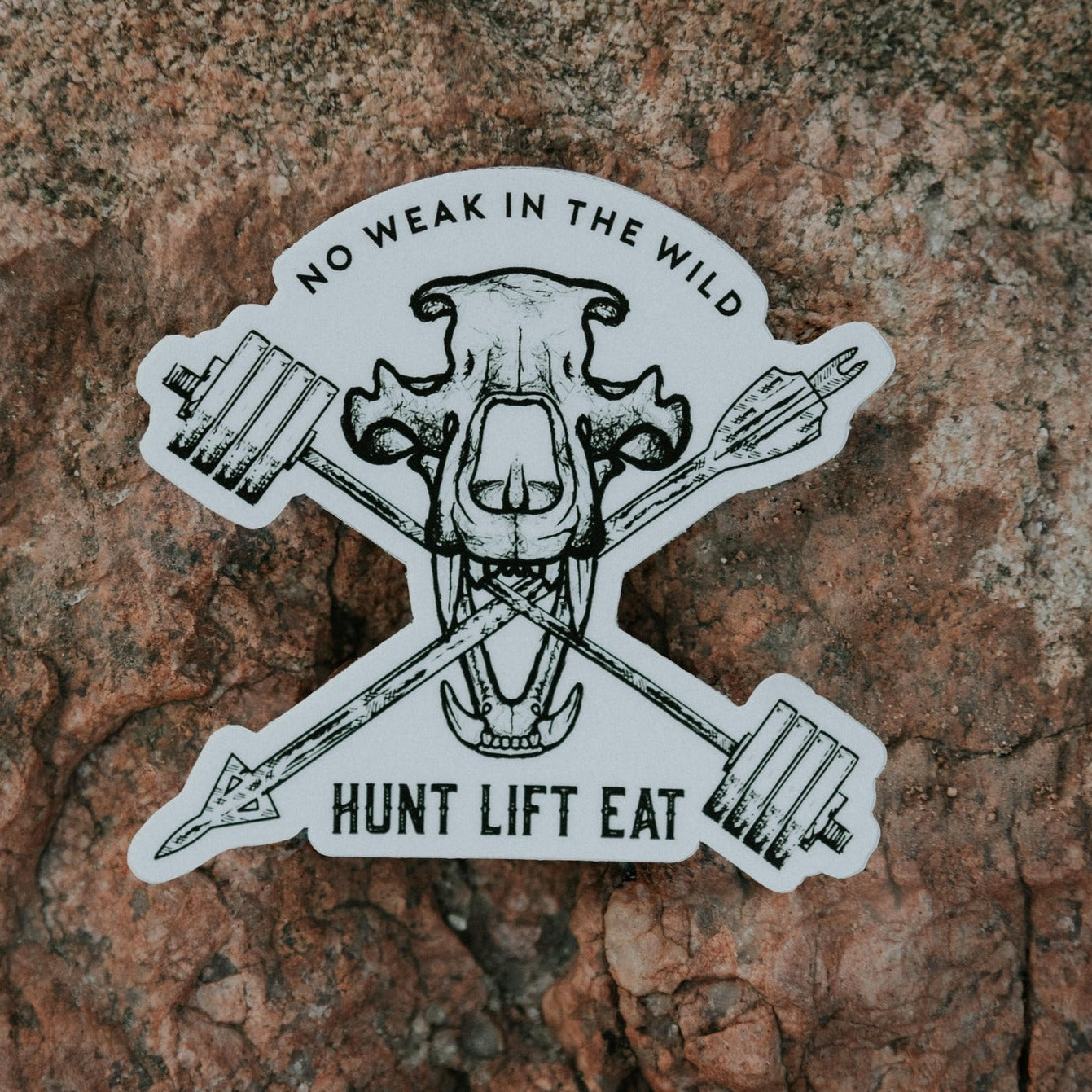 Bear Skull- Sticker