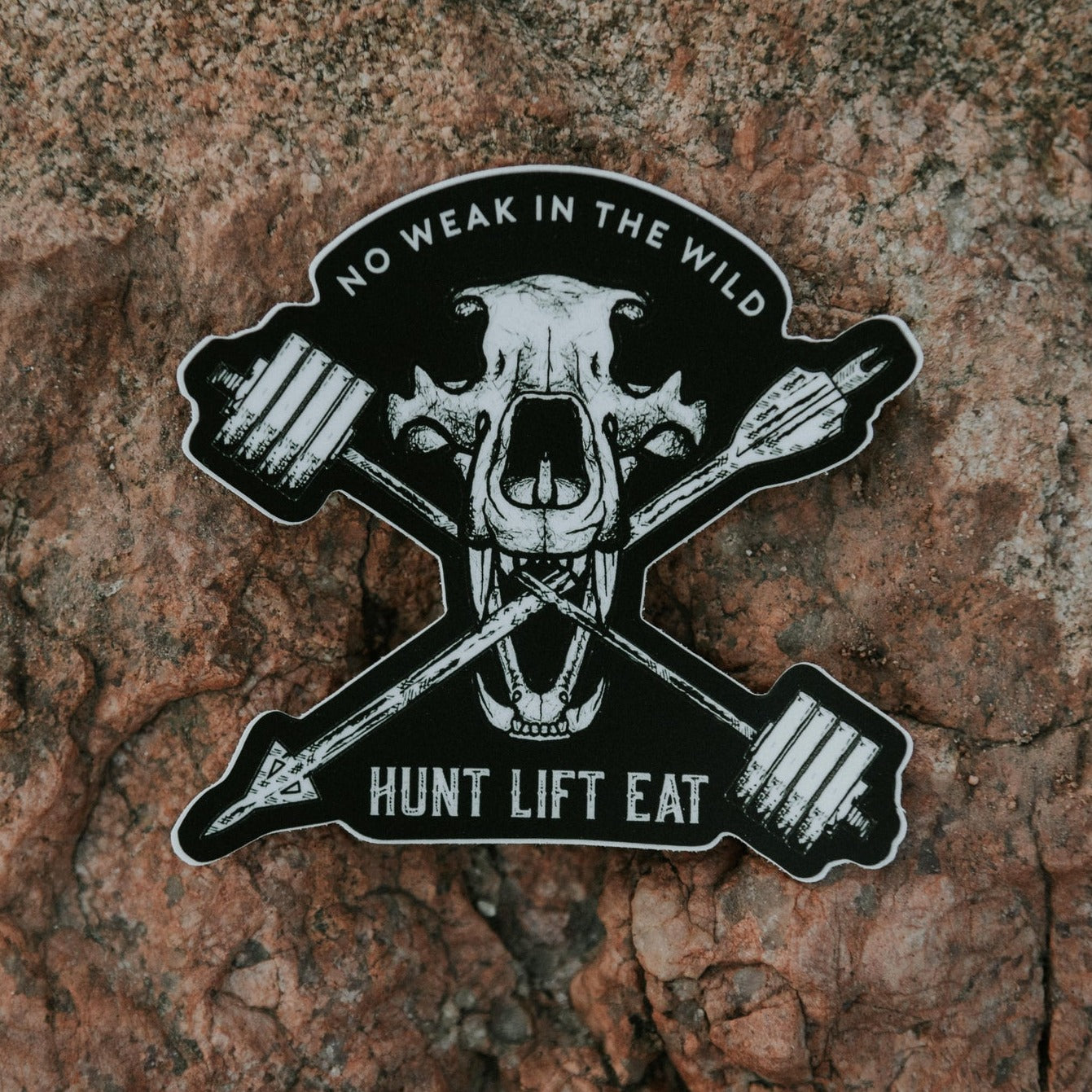 Bear Skull- Sticker