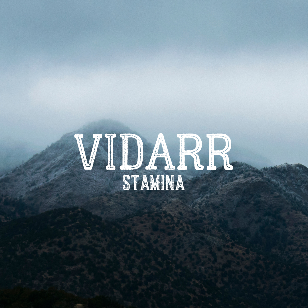 VIDARR- Stamina Program