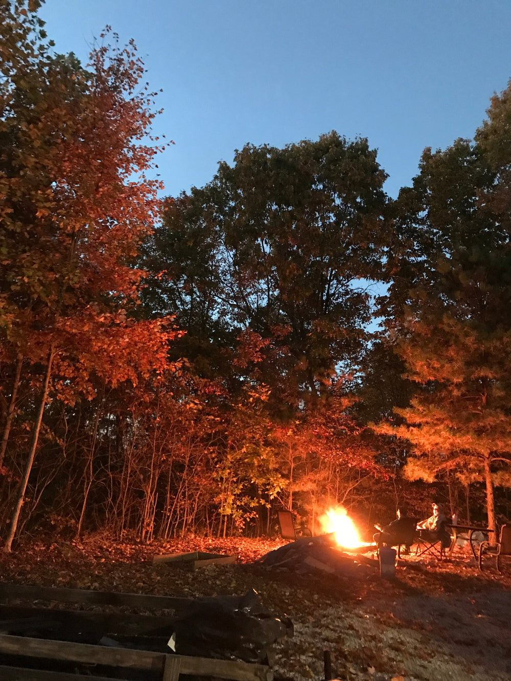 Unique and Delicious Hunting Camp Meals You Have To Try!