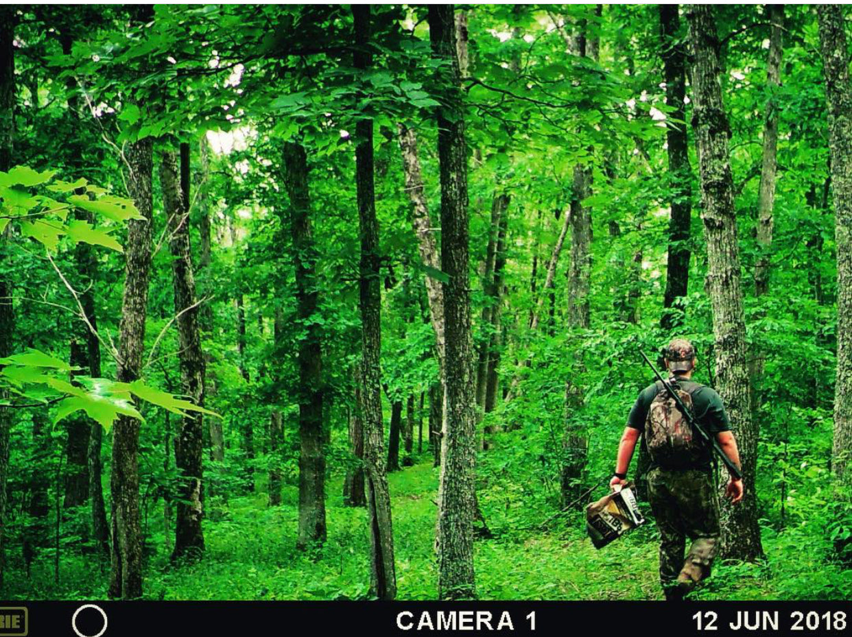 A SEASONAL APPROACH TO CHASING WHITETAILS