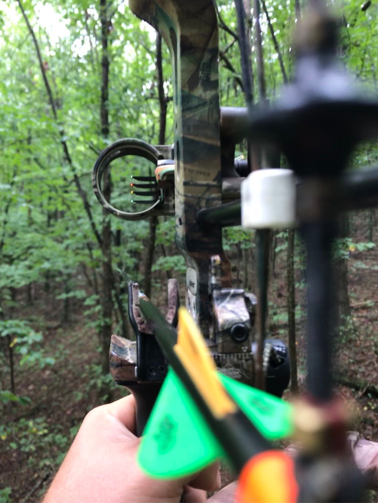 Bowhunting the "Brute 6" Buck