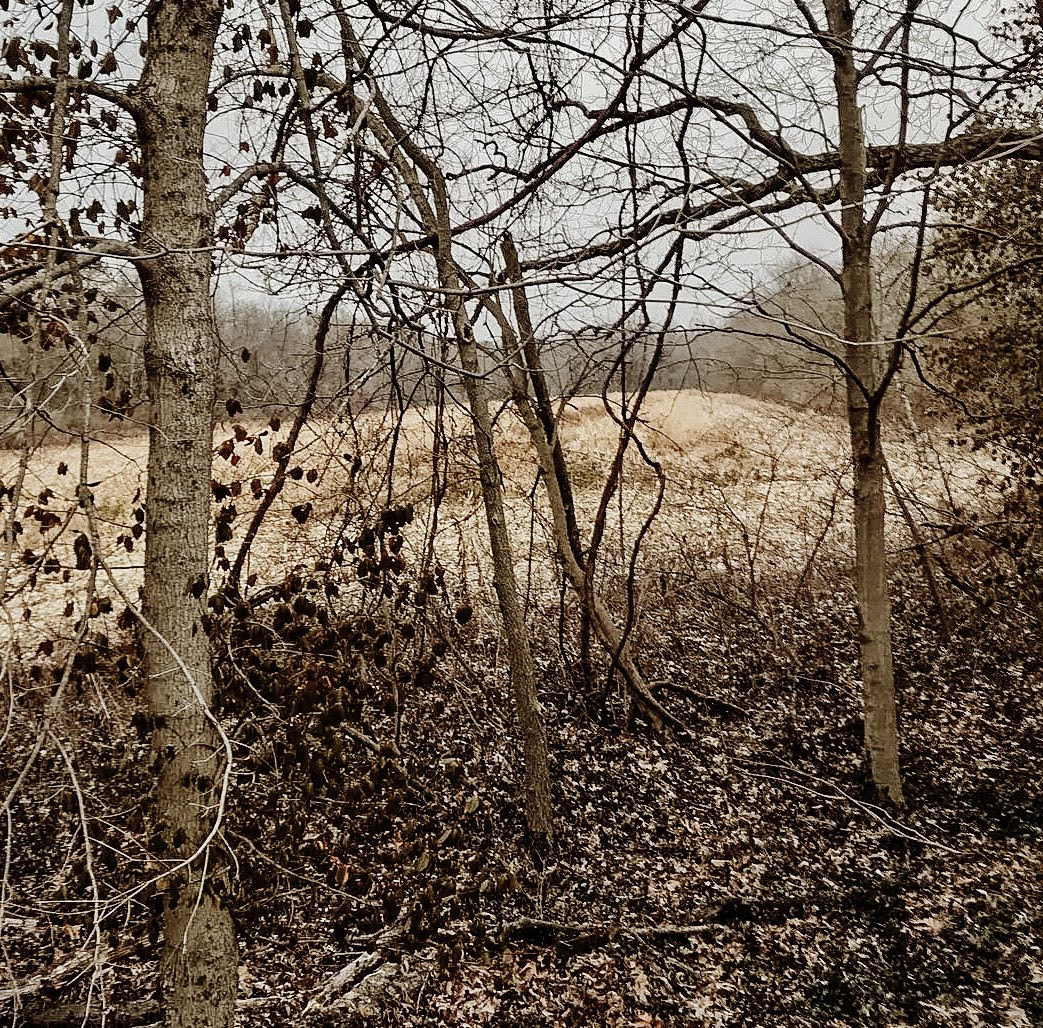 Planning Your First Out of State DIY Whitetail Hunt