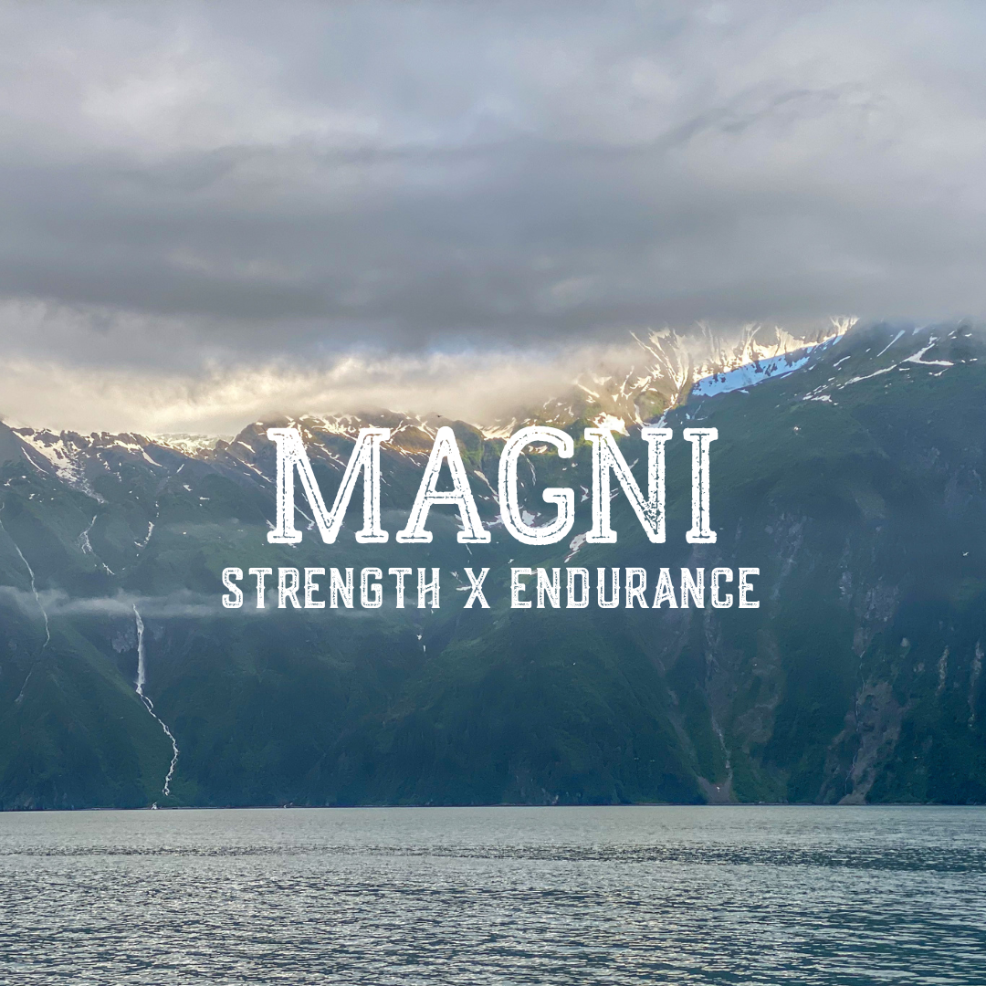 MAGNI- Strength X Endurance Program
